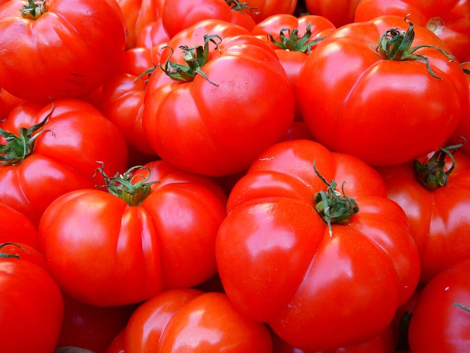 Vegetarische Rezepte zum abnehmen Tomate